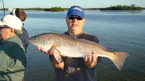Post image for Fishing Report – Charlotte Harbor – Time for the Airboat!