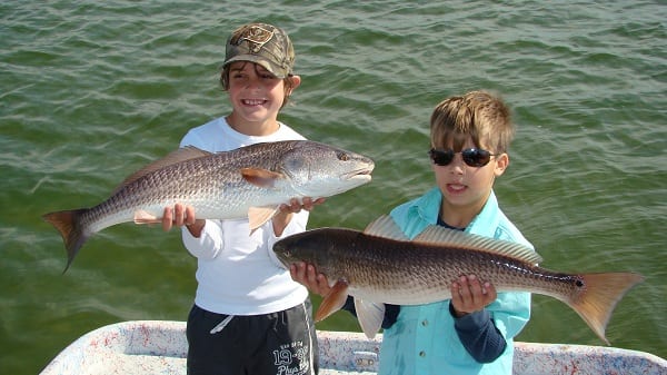 Post image for Fishing Report – New Port Richey – Still a Little Cold