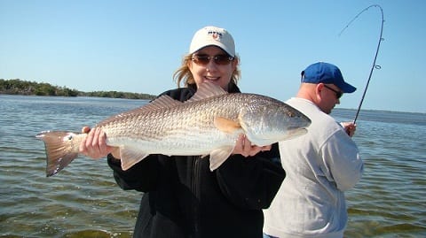 Post image for Fishing Report – Charlotte Harbor – Awesome Airboating