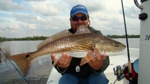426