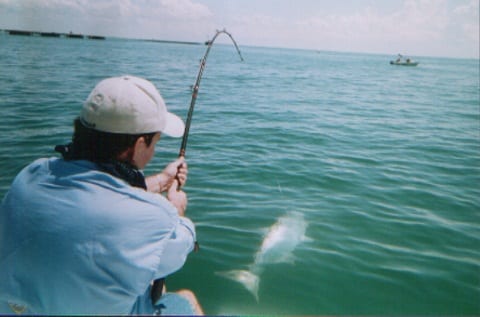 Boca Grande Tarpon Fishing